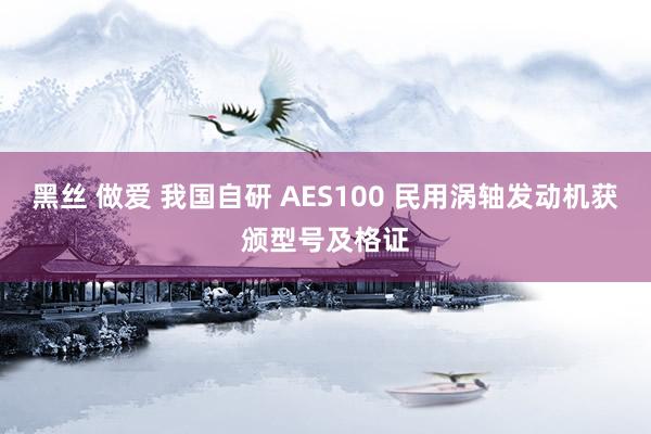 黑丝 做爱 我国自研 AES100 民用涡轴发动机获颁型号及格证