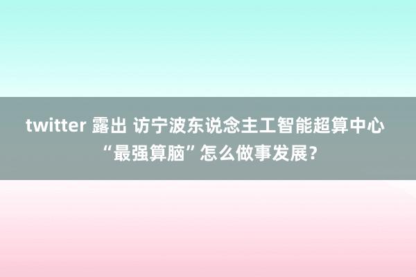 twitter 露出 访宁波东说念主工智能超算中心 “最强算脑”怎么做事发展？