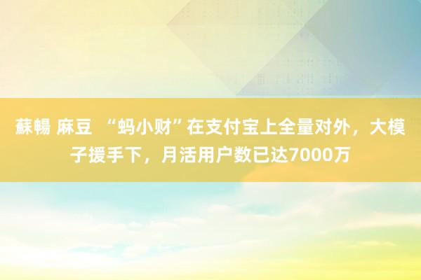 蘇暢 麻豆  “蚂小财”在支付宝上全量对外，大模子援手下，月活用户数已达7000万