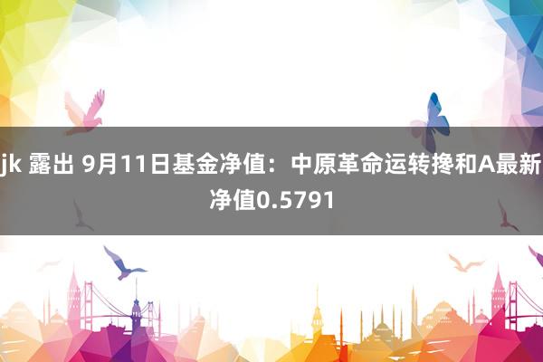 jk 露出 9月11日基金净值：中原革命运转搀和A最新净值0.5791