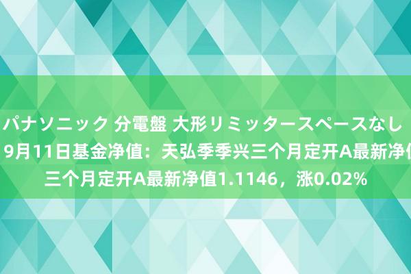 パナソニック 分電盤 大形リミッタースペースなし 露出・半埋込両用形 9月11日基金净值：天弘季季兴三个月定开A最新净值1.1146，涨0.02%