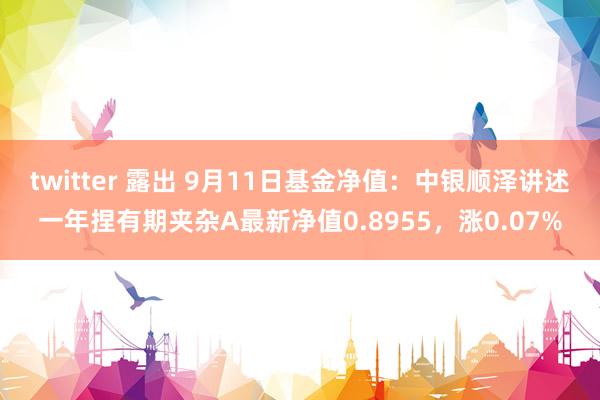 twitter 露出 9月11日基金净值：中银顺泽讲述一年捏有期夹杂A最新净值0.8955，涨0.07%