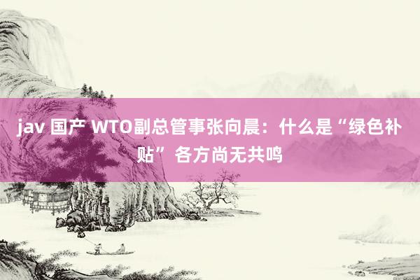 jav 国产 WTO副总管事张向晨：什么是“绿色补贴” 各方尚无共鸣