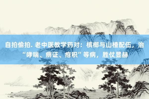 自拍偷拍. 老中医教学药对：槟榔与山楂配伍，治“哮喘、痹证、疳积”等病，胜仗显赫