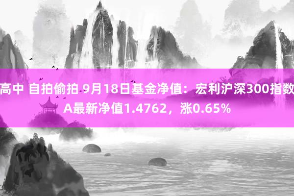 高中 自拍偷拍 9月18日基金净值：宏利沪深300指数A最新净值1.4762，涨0.65%