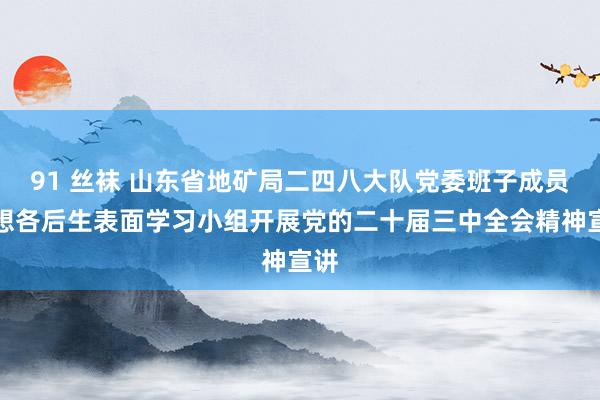 91 丝袜 山东省地矿局二四八大队党委班子成员臆想各后生表面学习小组开展党的二十届三中全会精神宣讲