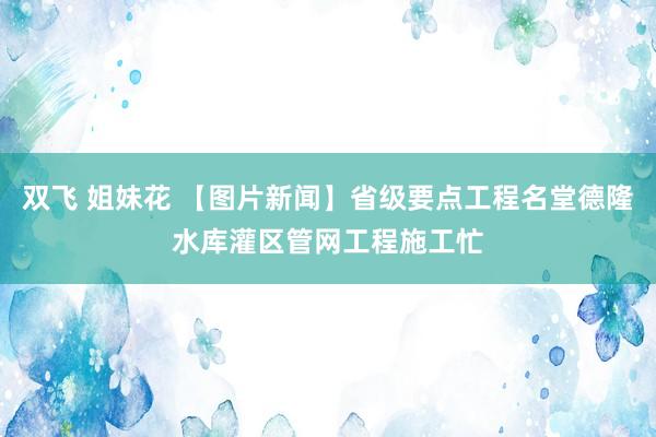 双飞 姐妹花 【图片新闻】省级要点工程名堂德隆水库灌区管网工程施工忙