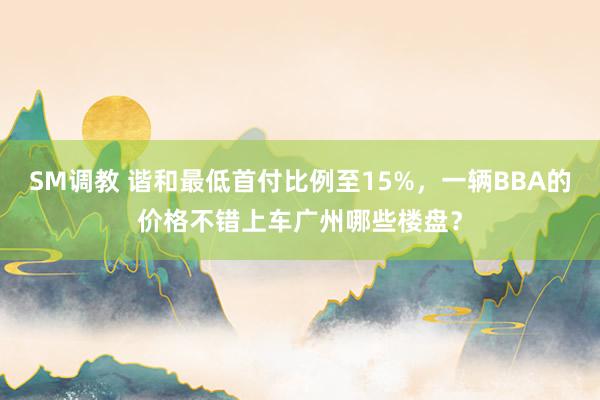 SM调教 谐和最低首付比例至15%，一辆BBA的价格不错上车广州哪些楼盘？