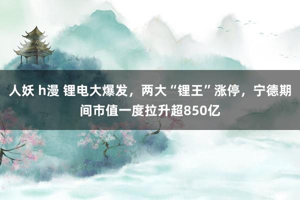 人妖 h漫 锂电大爆发，两大“锂王”涨停，宁德期间市值一度拉升超850亿