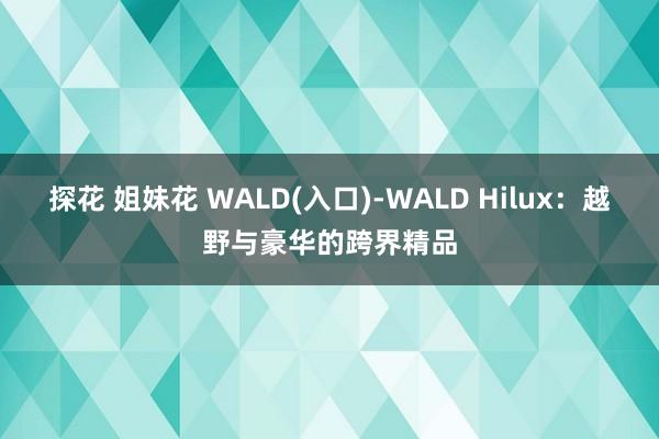 探花 姐妹花 WALD(入口)-WALD Hilux：越野与豪华的跨界精品