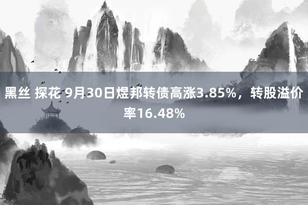 黑丝 探花 9月30日煜邦转债高涨3.85%，转股溢价率16.48%