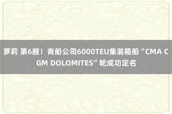 萝莉 第6艘！青船公司6000TEU集装箱船“CMA CGM DOLOMITES”轮成功定名