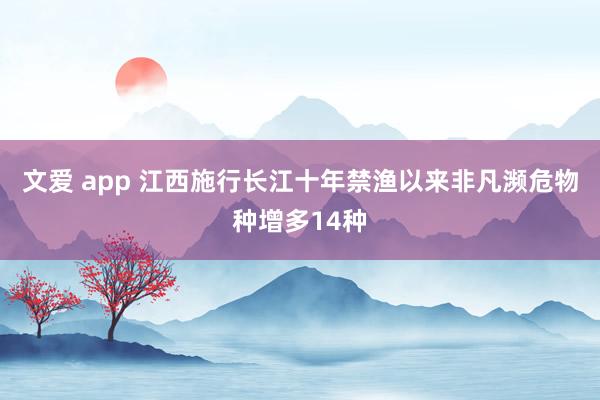 文爱 app 江西施行长江十年禁渔以来非凡濒危物种增多14种