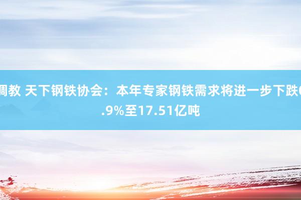 调教 天下钢铁协会：本年专家钢铁需求将进一步下跌0.9%至17.51亿吨
