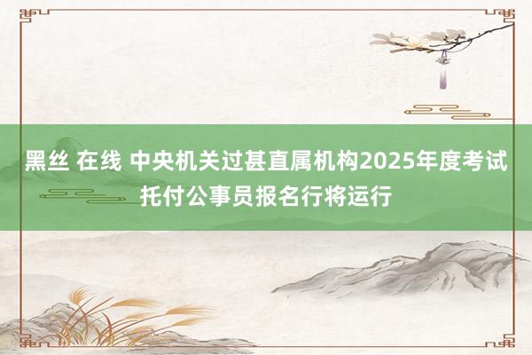 黑丝 在线 中央机关过甚直属机构2025年度考试托付公事员报名行将运行