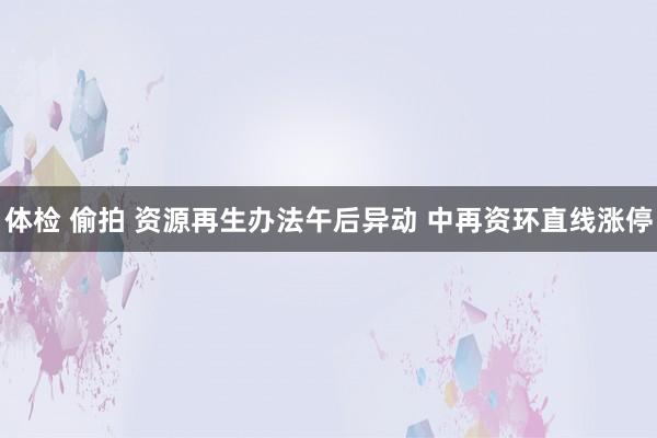 体检 偷拍 资源再生办法午后异动 中再资环直线涨停