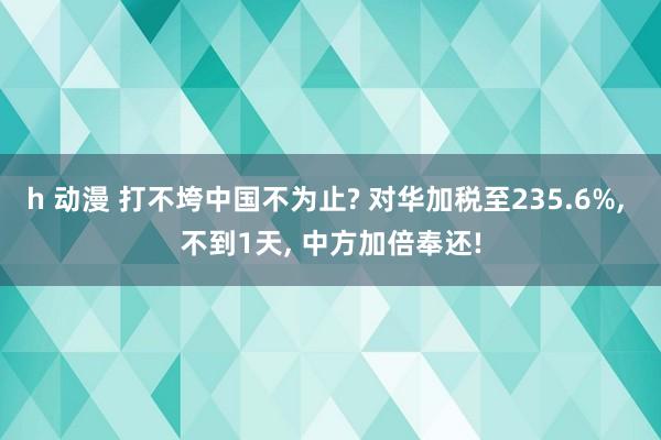 h 动漫 打不垮中国不为止? 对华加税至235.6%， 不到1天， 中方加倍奉还!