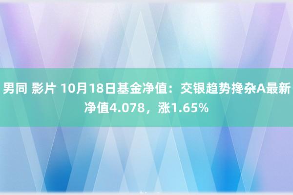 男同 影片 10月18日基金净值：交银趋势搀杂A最新净值4.078，涨1.65%