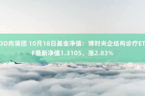 3D肉蒲团 10月18日基金净值：博时央企结构诊疗ETF最新净值1.3105，涨2.83%