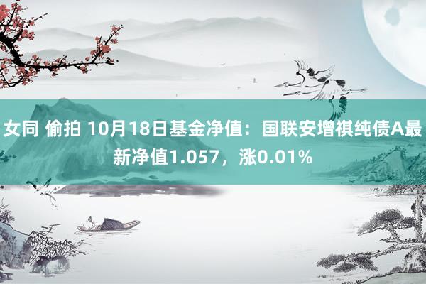 女同 偷拍 10月18日基金净值：国联安增祺纯债A最新净值1.057，涨0.01%