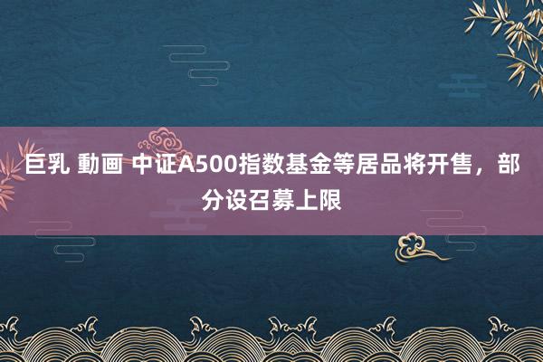 巨乳 動画 中证A500指数基金等居品将开售，部分设召募上限