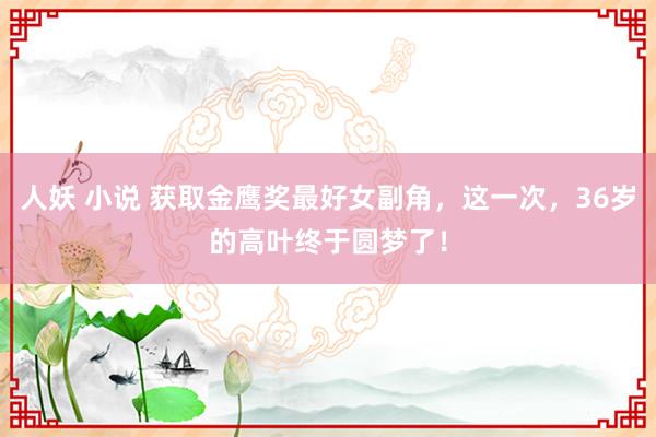 人妖 小说 获取金鹰奖最好女副角，这一次，36岁的高叶终于圆梦了！