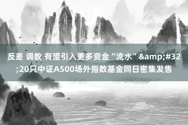 反差 调教 有望引入更多资金“流水”&#32;20只中证A500场外指数基金同日密集发售