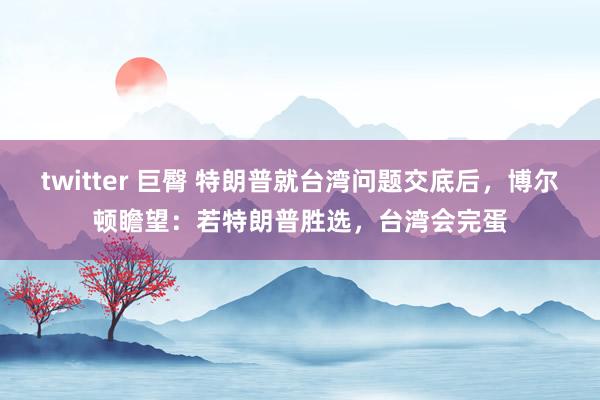 twitter 巨臀 特朗普就台湾问题交底后，博尔顿瞻望：若特朗普胜选，台湾会完蛋