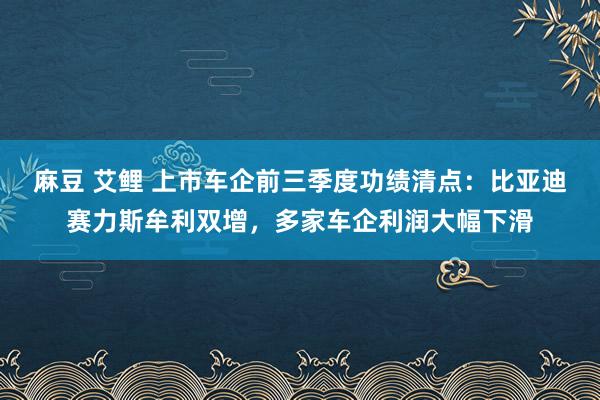 麻豆 艾鲤 上市车企前三季度功绩清点：比亚迪赛力斯牟利双增，多家车企利润大幅下滑