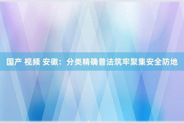 国产 视频 安徽：分类精确普法筑牢聚集安全防地