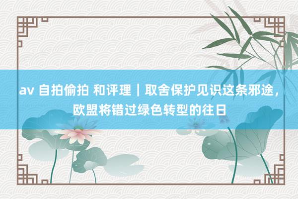 av 自拍偷拍 和评理｜取舍保护见识这条邪途，欧盟将错过绿色转型的往日