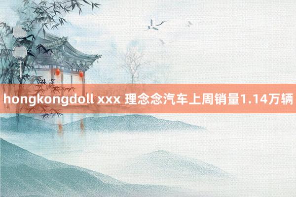 hongkongdoll xxx 理念念汽车上周销量1.14万辆