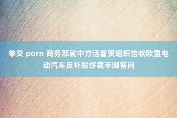 拳交 porn 商务部就中方活着贸组织告状欧盟电动汽车反补贴终裁手脚答问