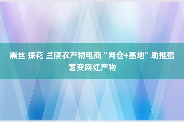 黑丝 探花 兰陵农产物电商“网仓+基地”助推蜜薯变网红产物