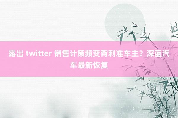 露出 twitter 销售计策频变背刺准车主？深蓝汽车最新恢复