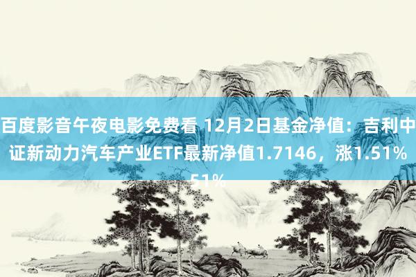 百度影音午夜电影免费看 12月2日基金净值：吉利中证新动力汽车产业ETF最新净值1.7146，涨1.51%