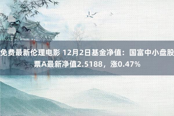 免费最新伦理电影 12月2日基金净值：国富中小盘股票A最新净值2.5188，涨0.47%