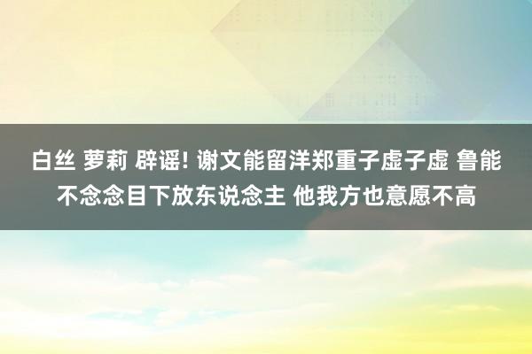 白丝 萝莉 辟谣! 谢文能留洋郑重子虚子虚 鲁能不念念目下放东说念主 他我方也意愿不高