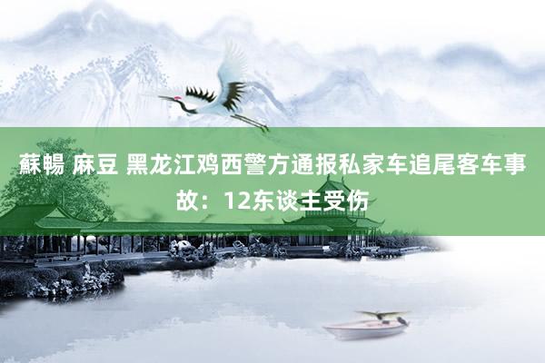 蘇暢 麻豆 黑龙江鸡西警方通报私家车追尾客车事故：12东谈主受伤