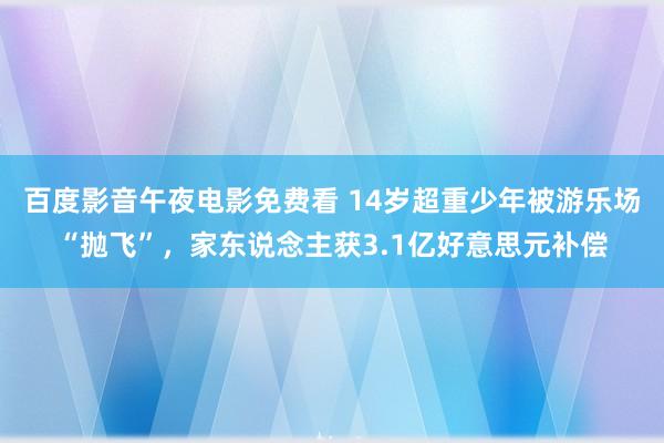 百度影音午夜电影免费看 14岁超重少年被游乐场“抛飞”，家东说念主获3.1亿好意思元补偿