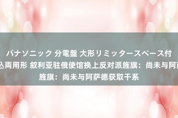 パナソニック 分電盤 大形リミッタースペース付 露出・半埋込両用形 叙利亚驻俄使馆换上反对派旌旗：尚未与阿萨德获取干系