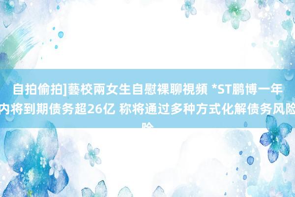 自拍偷拍]藝校兩女生自慰裸聊視頻 *ST鹏博一年内将到期债务超26亿 称将通过多种方式化解债务风险