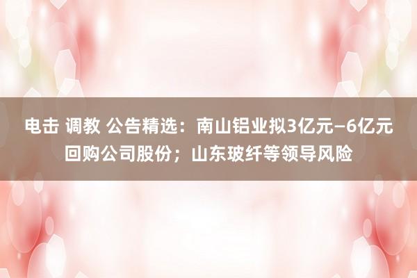 电击 调教 公告精选：南山铝业拟3亿元—6亿元回购公司股份；山东玻纤等领导风险