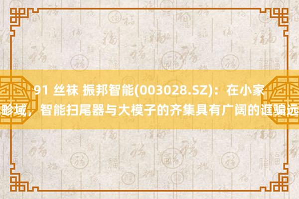 91 丝袜 振邦智能(003028.SZ)：在小家电畛域，智能扫尾器与大模子的齐集具有广阔的诓骗远景