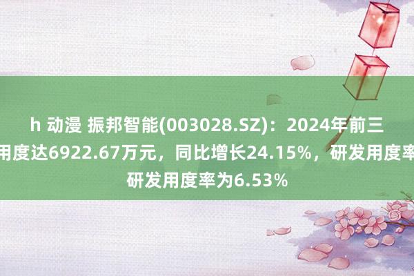 h 动漫 振邦智能(003028.SZ)：2024年前三季度研发用度达6922.67万元，同比增长24.15%，研发用度率为6.53%