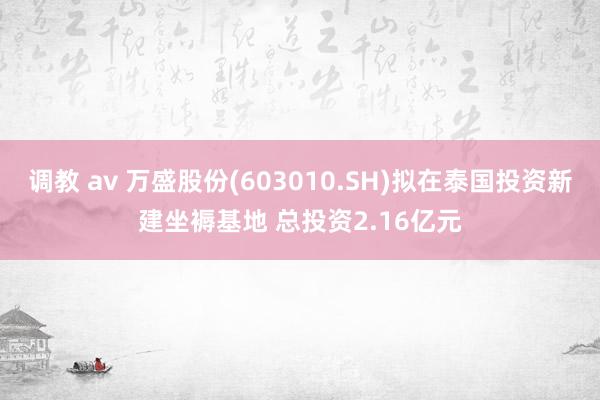 调教 av 万盛股份(603010.SH)拟在泰国投资新建坐褥基地 总投资2.16亿元