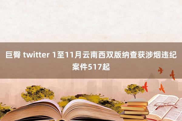 巨臀 twitter 1至11月云南西双版纳查获涉烟违纪案件517起