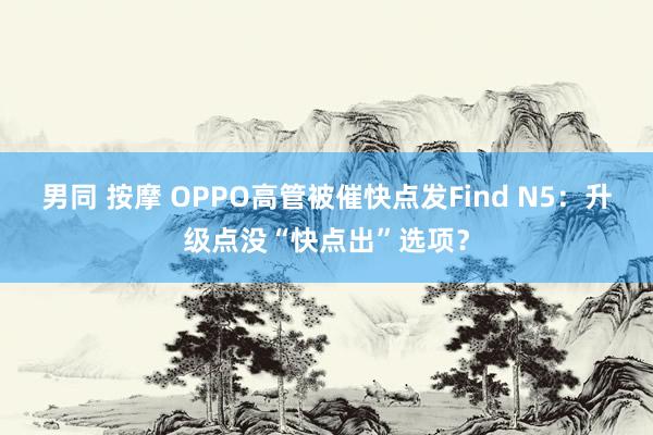 男同 按摩 OPPO高管被催快点发Find N5：升级点没“快点出”选项？