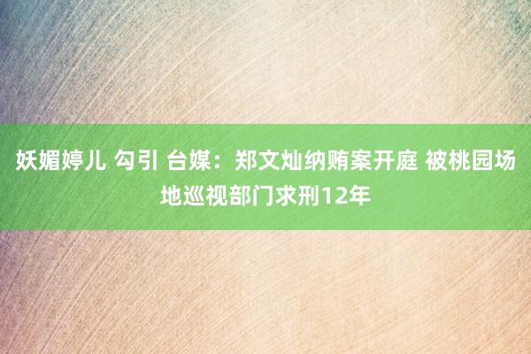 妖媚婷儿 勾引 台媒：郑文灿纳贿案开庭 被桃园场地巡视部门求刑12年