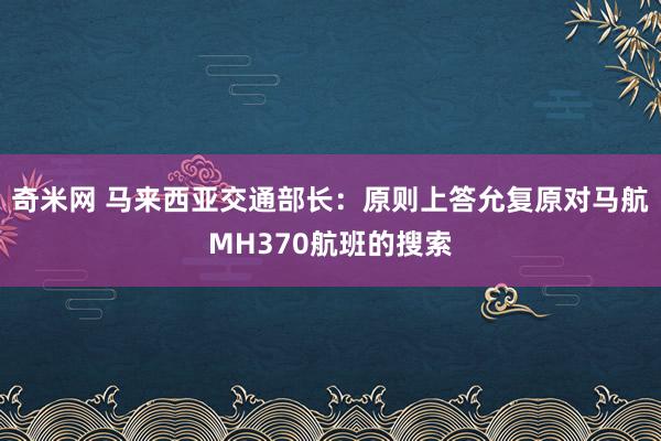 奇米网 马来西亚交通部长：原则上答允复原对马航MH370航班的搜索